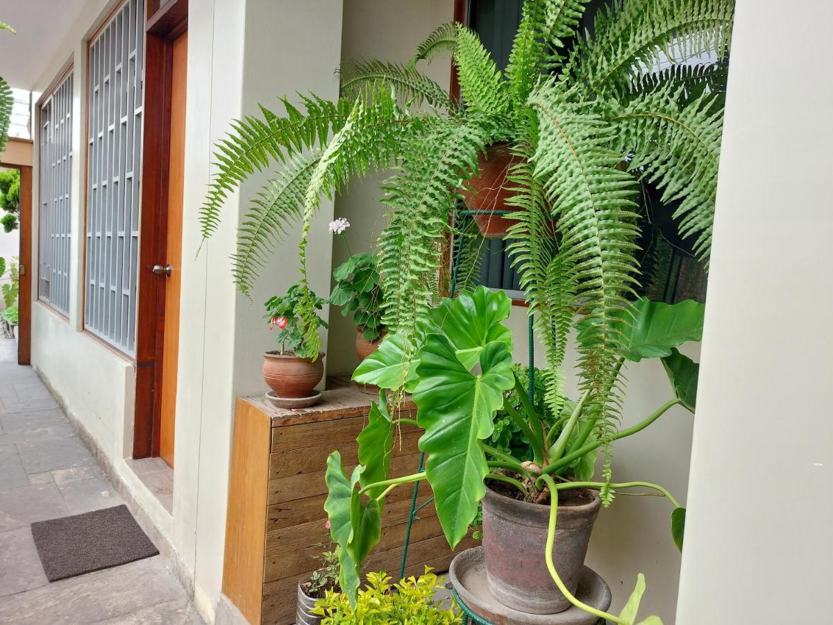 Casa Amarello Apartment Lima Exterior photo