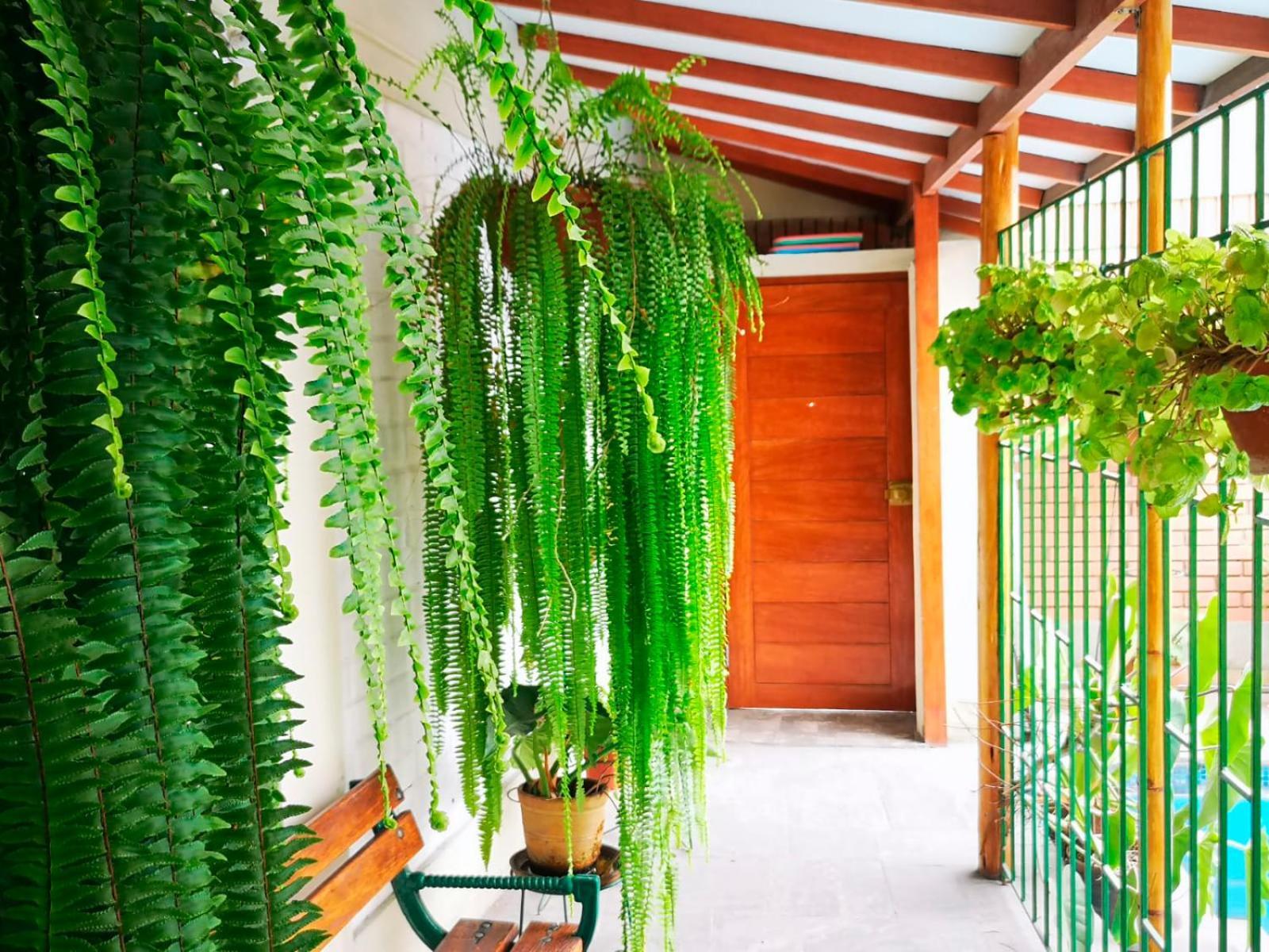Casa Amarello Apartment Lima Exterior photo